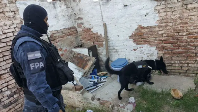 El perro en acción