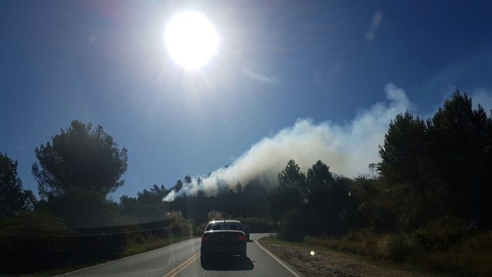 incendiobosquealegre