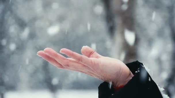 depositphotos_183135706-stock-video-woman-hand-catches-snowflakes-wonderful