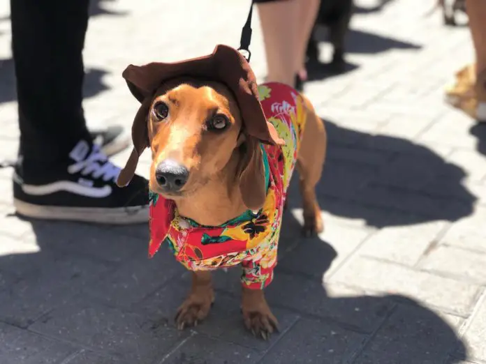 WhatsApp Image 2018-11-18 at 12.27.52 (1)