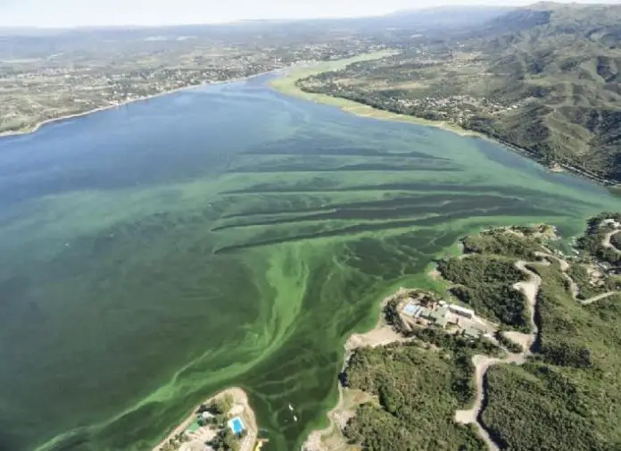 49899145_2079117345460176_3405427634253856768_n