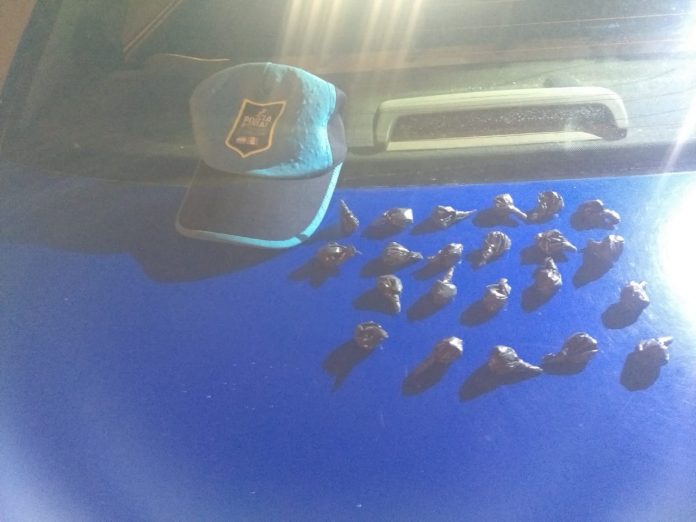 WhatsApp Image 2019-02-14 at 07.35.46 (1)