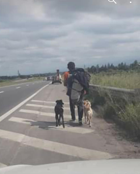 58781529_2193365950748344_7797178324597342208_n