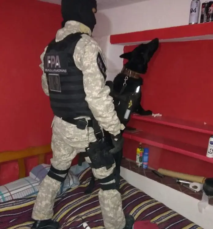 WhatsApp Image 2019-05-28 at 06.49.11