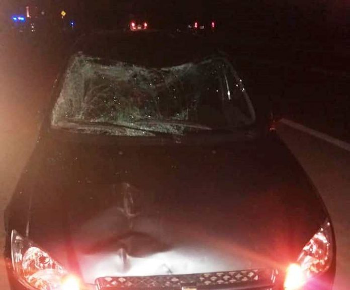 Accidente por caballos sueltos en la Ruta 38 foto 1