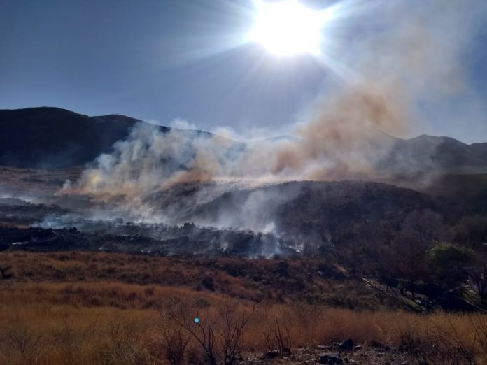 WhatsApp Image 2019-08-02 at 11.26.42