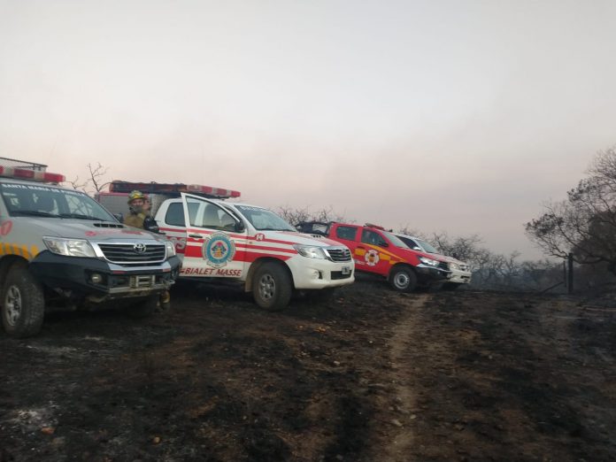 WhatsApp Image 2019-09-25 at 7.24.39 PM (1)