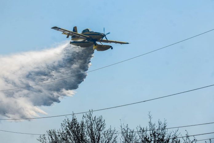 WhatsApp Image 2019-09-28 at 5.37.02 PM (1)