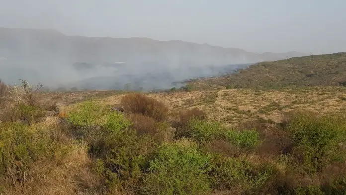 WhatsApp Image 2019-09-30 at 8.29.13 PM