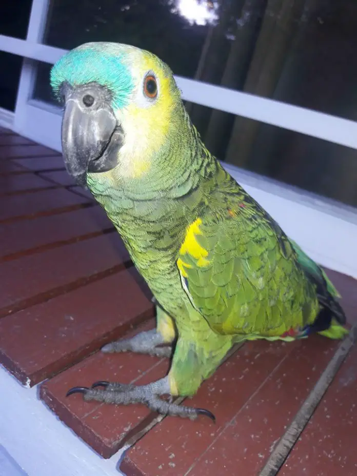 76732181_10221170883401152_8804099833385189376_o