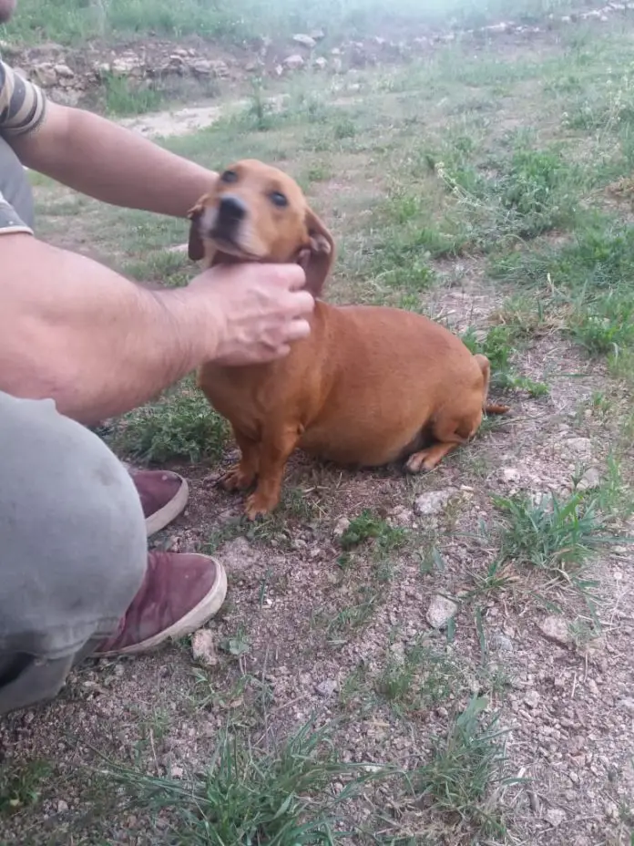 WhatsApp Image 2019-12-02 at 09.36.04