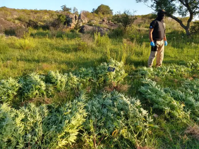 WhatsApp Image 2020-01-31 at 07.53.04