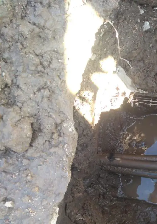 WhatsApp Image 2020-02-04 at 1.29.39 PM