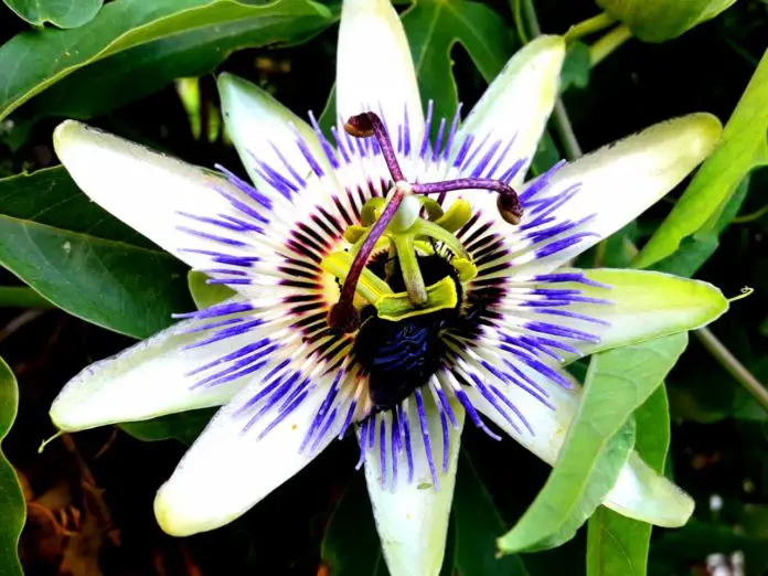 WhatsApp Image 2020-02-18 at 10.21.53 AM