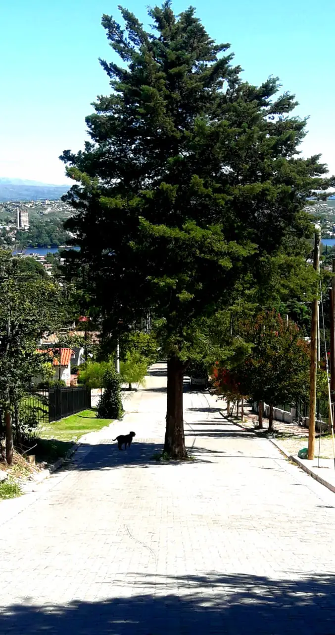 WhatsApp Image 2020-02-19 at 10.54.43 PM