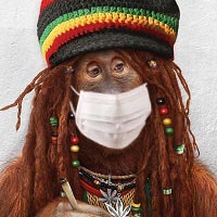 WhatsApp Image 2020-03-12 at 7.02.04 PM