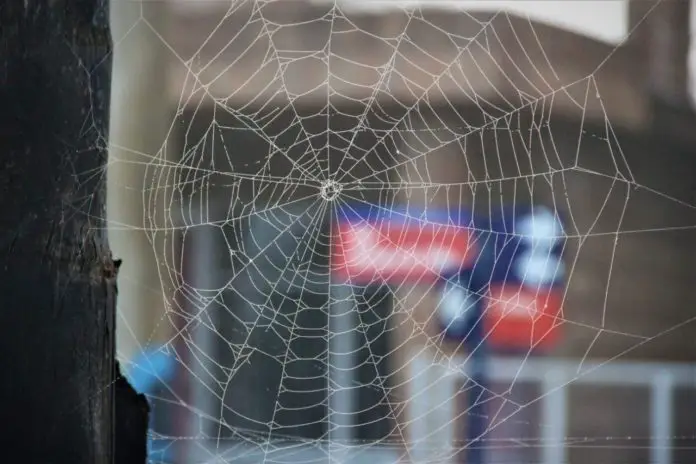 WhatsApp Image 2020-03-28 at 9.13.19 AM