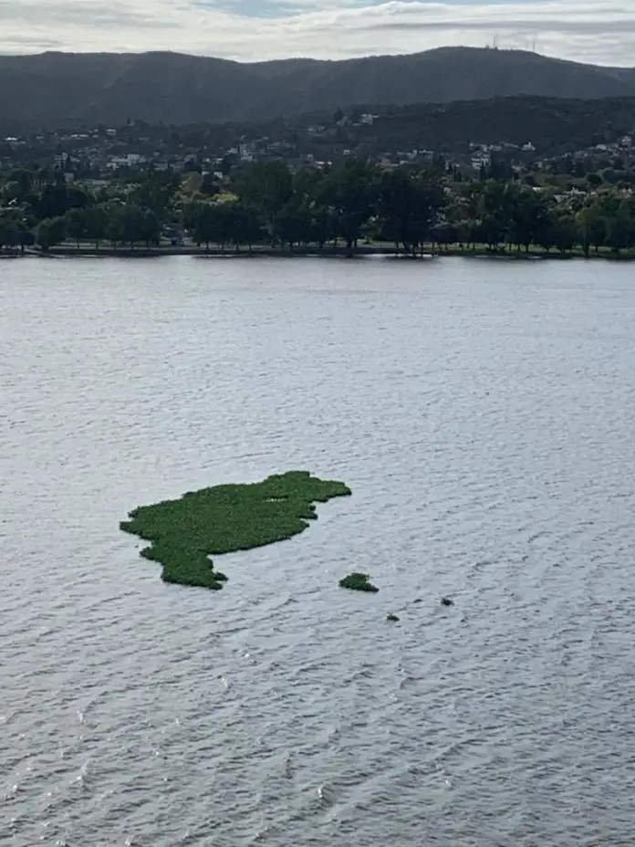 WhatsApp Image 2020-04-06 at 09.47.34