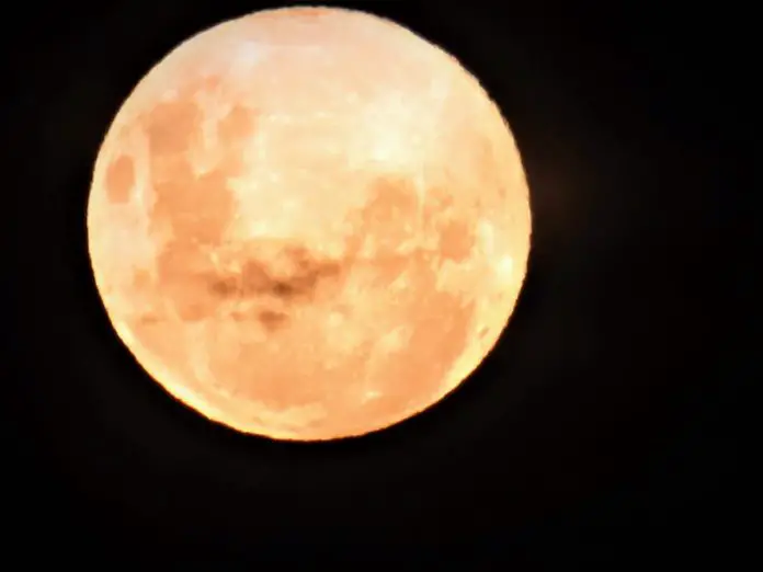 WhatsApp Image 2020-04-07 at 23.19.46