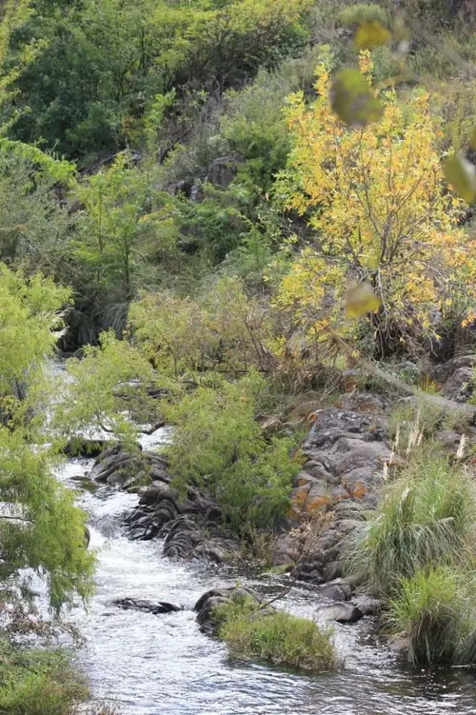 WhatsApp Image 2020-04-08 at 08.35.55