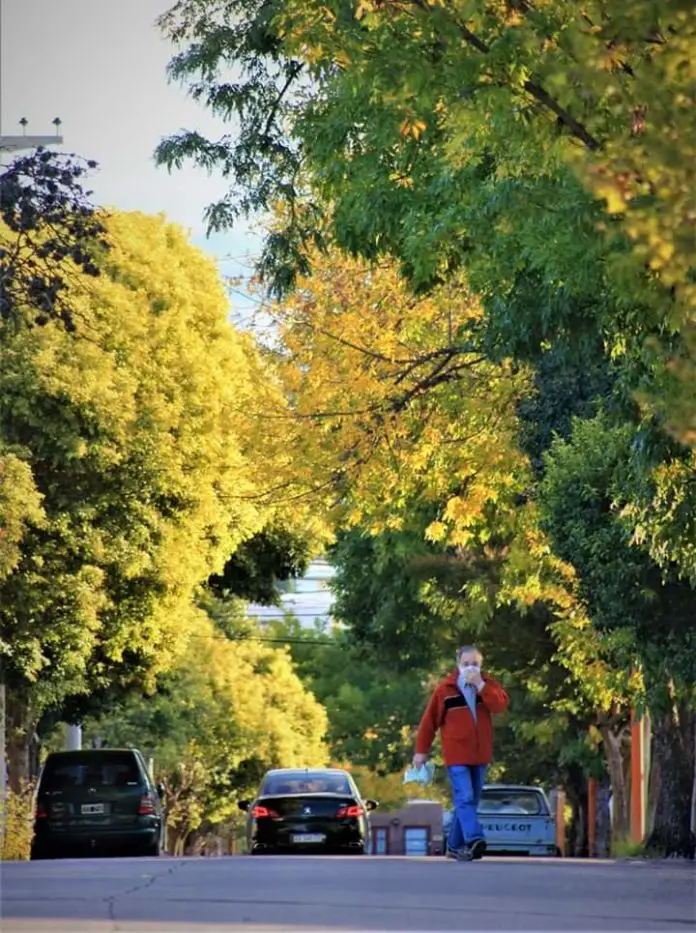 WhatsApp Image 2020-04-18 at 15.17.54