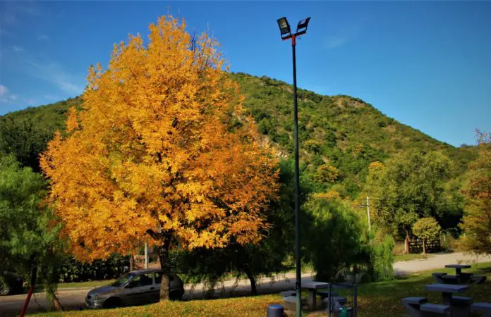 WhatsApp Image 2020-05-03 at 08.43.20