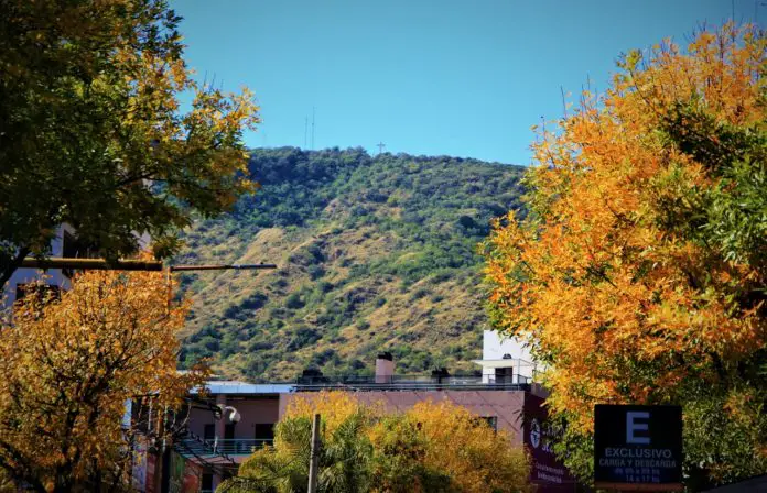 WhatsApp Image 2020-05-04 at 09.42.56 (1)