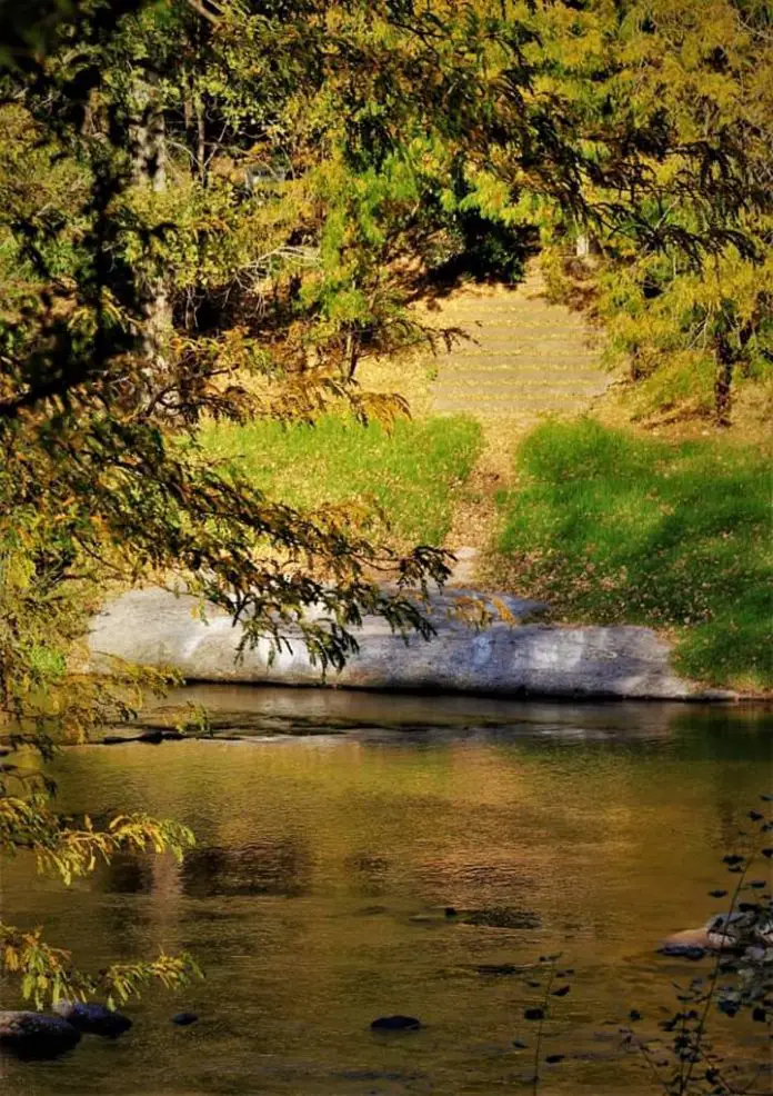 WhatsApp Image 2020-05-10 at 08.27.13 (1)