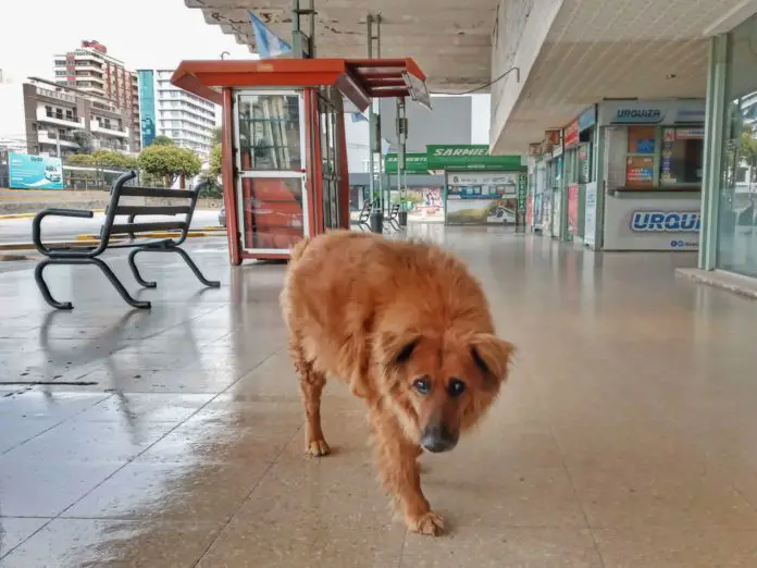 20200710_112355-1-scaled-01