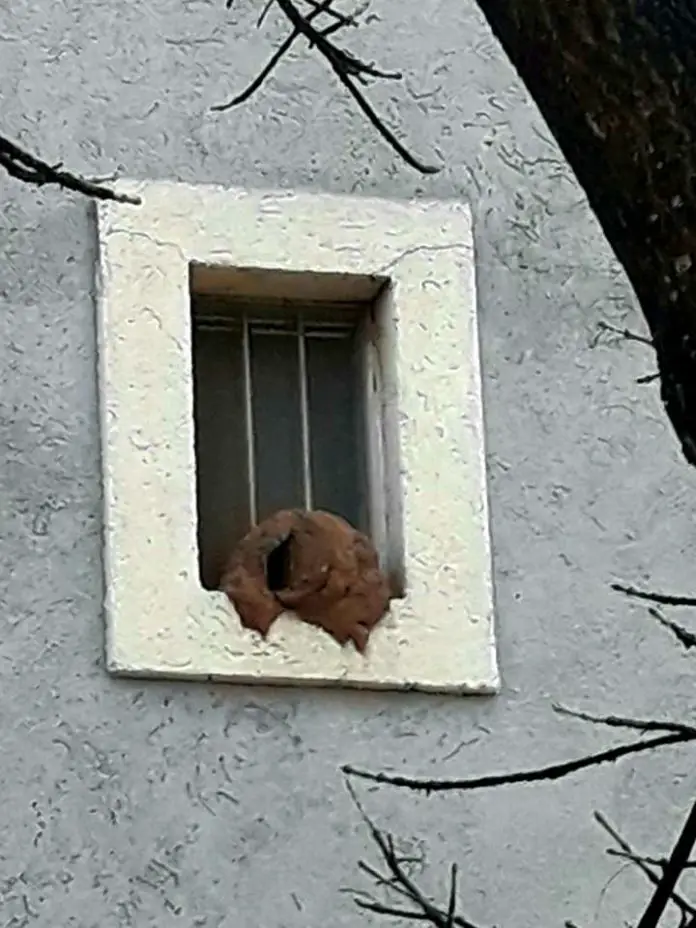 WhatsApp Image 2020-07-13 at 09.55.51