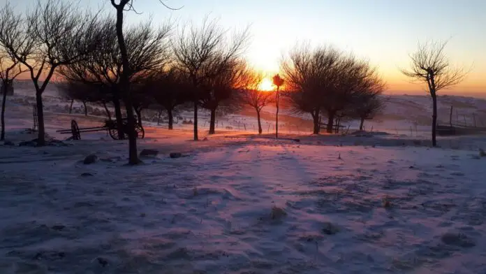 WhatsApp Image 2020-08-20 at 9.43.47 AM (1)