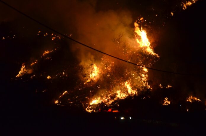 WhatsApp Image 2020-08-24 at 11.32.08 PM