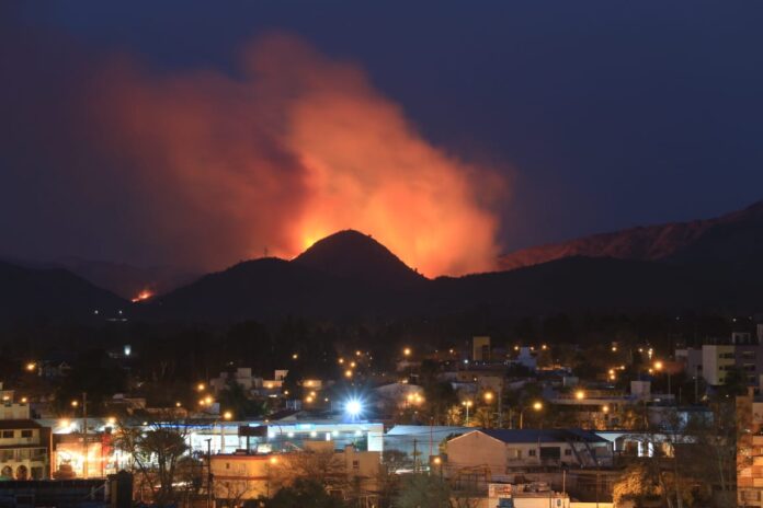 WhatsApp Image 2020-08-26 at 19.30.01