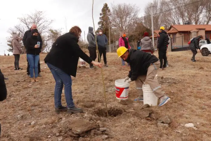 WhatsApp Image 2020-08-29 at 13.17.40