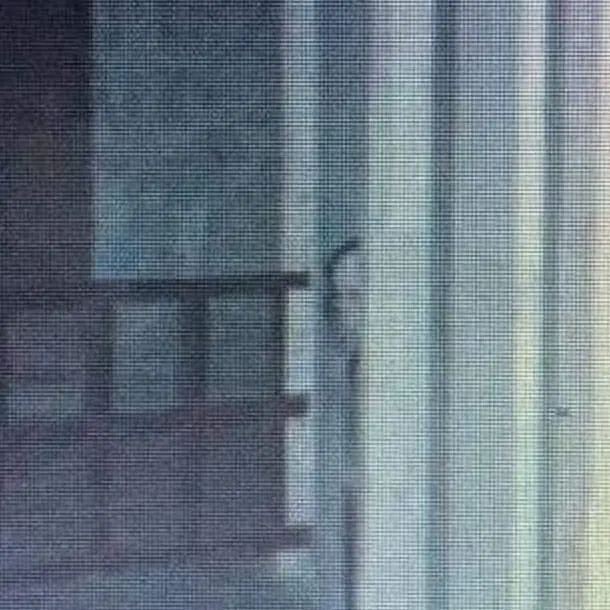 WhatsApp Image 2020-08-29 at 14.26.06