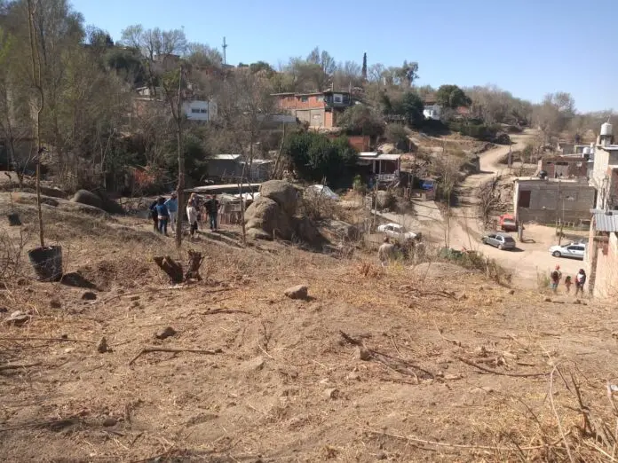 espacio verde la quinta