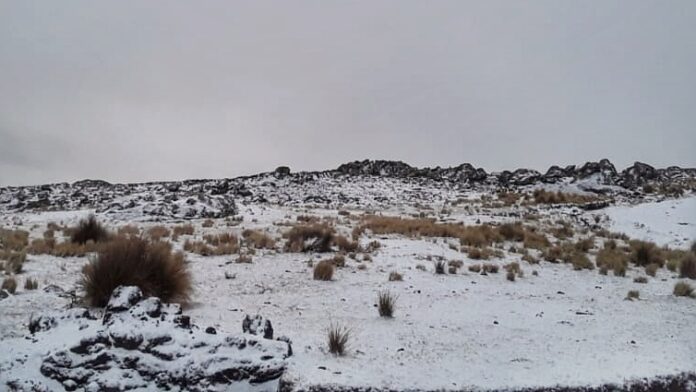 IMG-20200901-WA0156-01