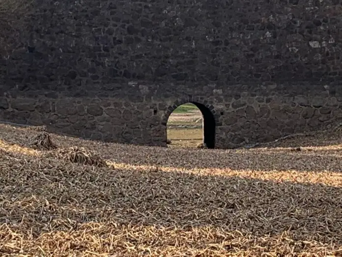 WhatsApp Image 2020-09-28 at 7.56.53 AM