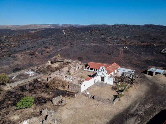 WhatsApp Image 2020-10-05 at 10.39.30 AM (1)