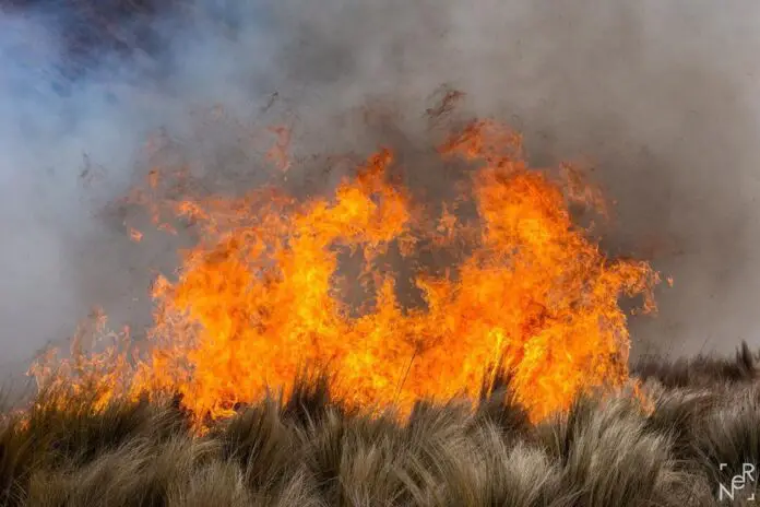 WhatsApp Image 2020-10-17 at 9.12.31 PM (1)