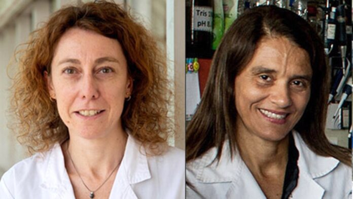 científicas de la investigación