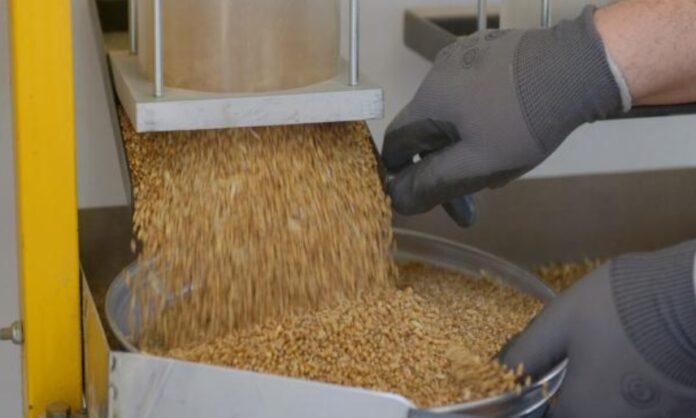 harina agroecologica