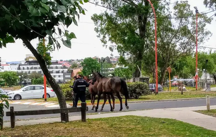 IMG_20201118_093523037~4