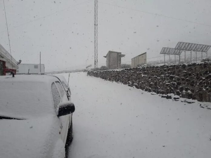 WhatsApp Image 2020-11-17 at 12.07.44 PM