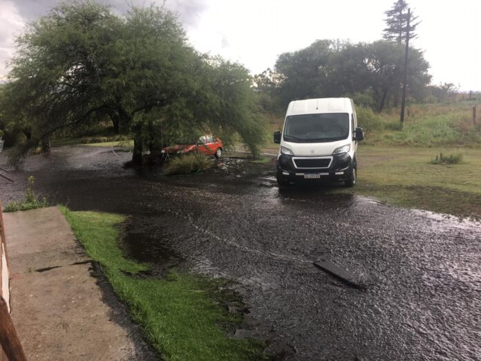 WhatsApp Image 2020-11-29 at 18.40.46 (2)