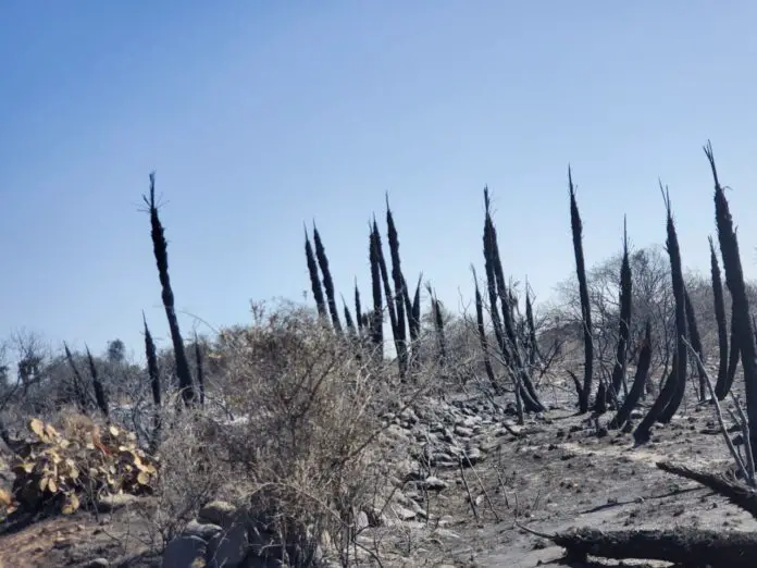 incendios emergencias