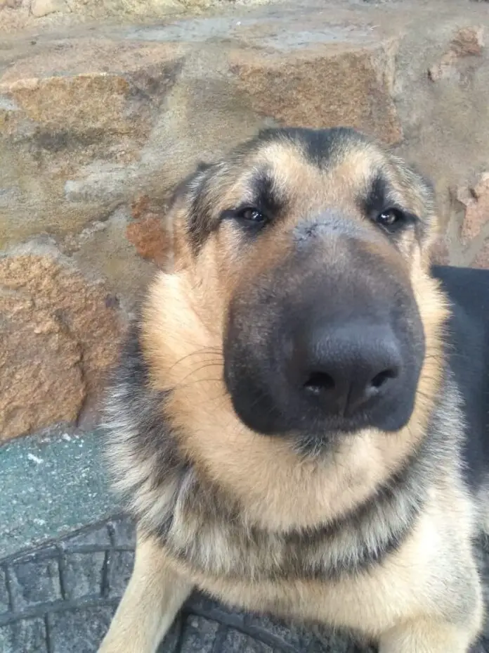 WhatsApp Image 2021-01-14 at 12.30.20