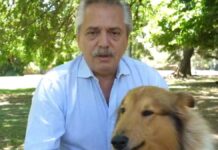 Murió Dylan, el perro del expresidente Alberto Fernández