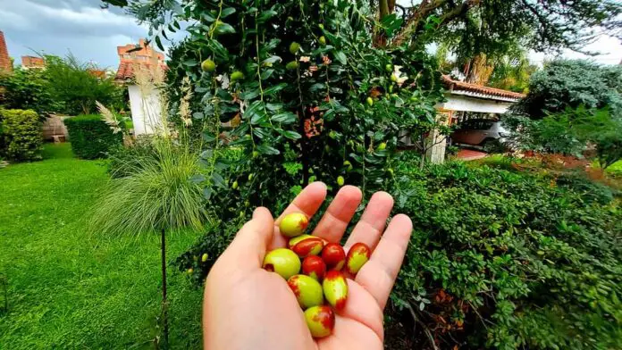 WhatsApp Image 2021-03-06 at 9.38.05 AM