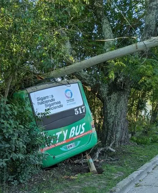 colectivo incrustado